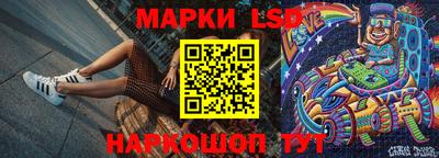индика Заволжье