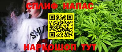 индика Заволжье