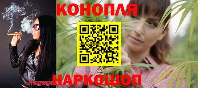 индика Заволжье