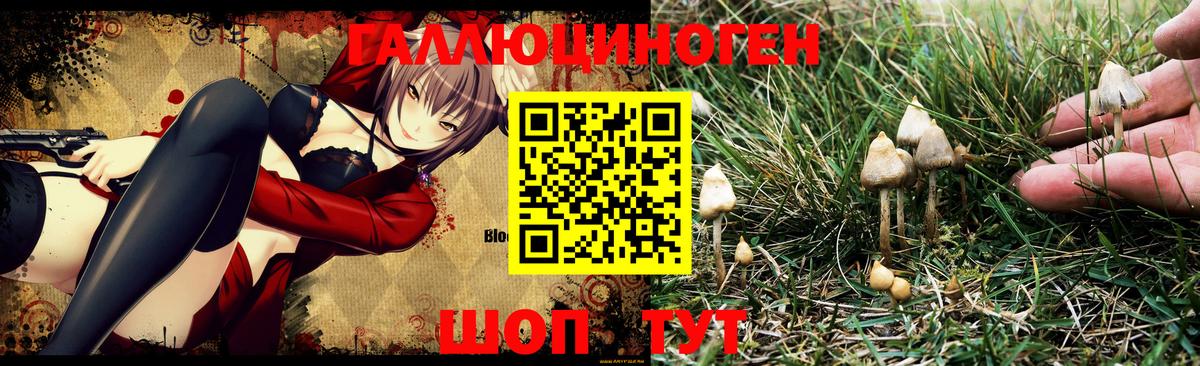 Галлюциногенные грибы Magic Shrooms Лангепас